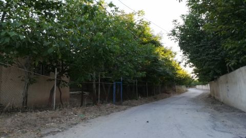 روستای اهران-لمسار